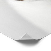 Poster Boston Terrier (Coin)