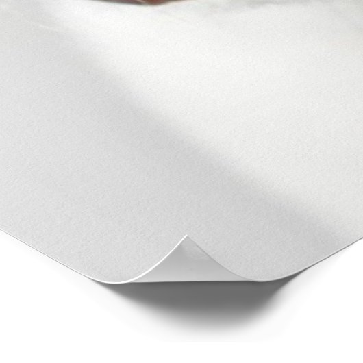 Poster Boston Terrier (Coin)