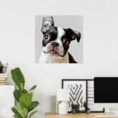 Poster Boston Terrier (Bureau à domicile)