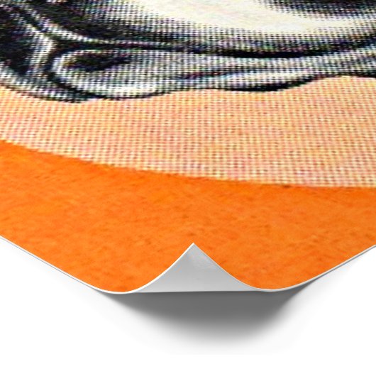 Poster Boston terrier (Coin)