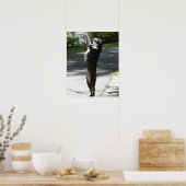 Poster Boston Terrier 2 (Cuisine)