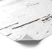 Poster Boston Terrier 2 (Coin)