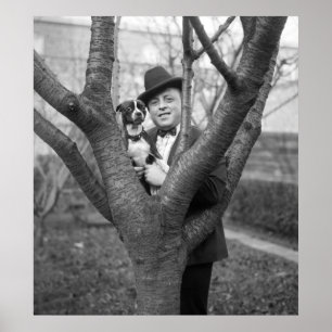 Poster Boston Terrier, années 1920