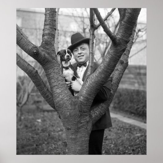 Poster Boston Terrier, années 1920 (Devant)