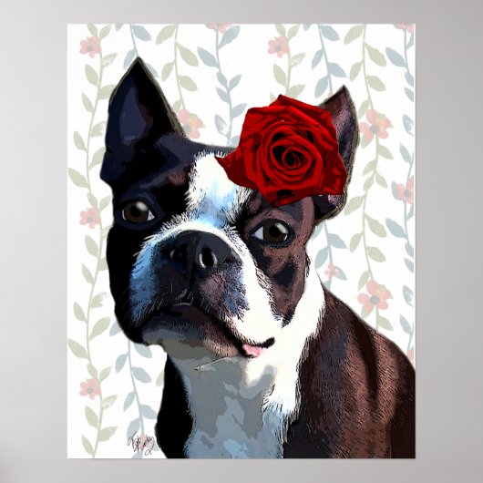 Poster Boston Terrier avec Rose sur Head (Devant)