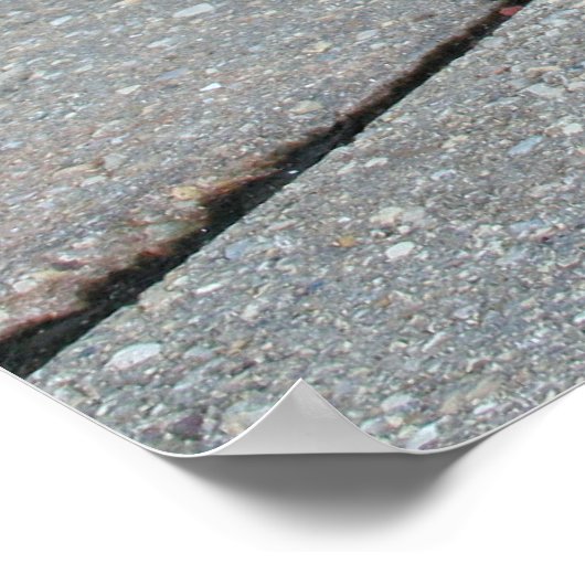 Poster Boston Terrier Boston-5 (Coin)