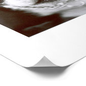 Poster Boston Terrier/ "Buster-Capone" (Coin)