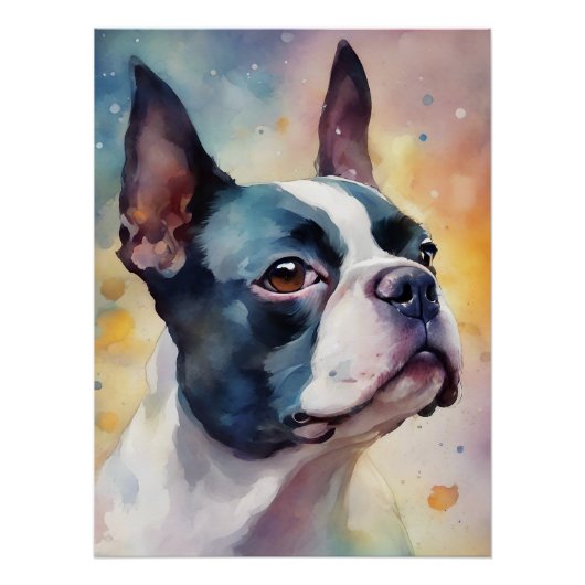 Poster Boston Terrier Digital Watercolor Portrait Chien 1 (Devant)