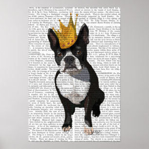 Poster Boston Terrier Et Crown