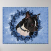 Boston Terrier Fleurs Chien Art peinture photo