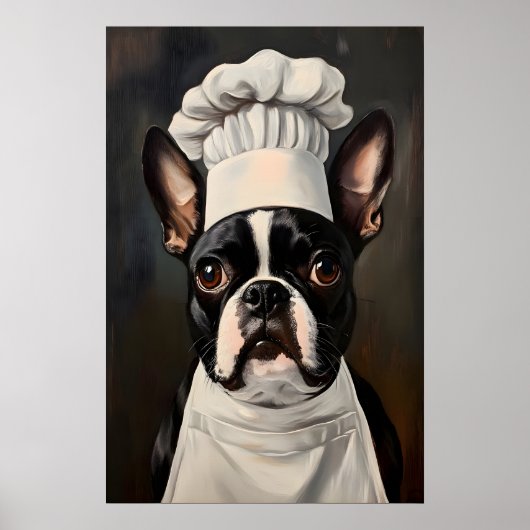Poster Boston Terrier In Chefs Hat Poster, Pet Art (Devant)