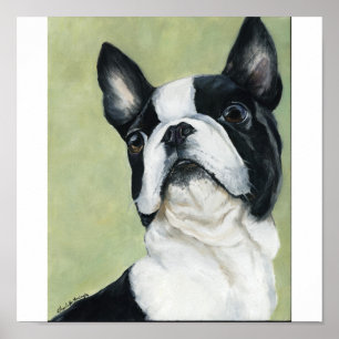 Poster Boston Terrier Original Chien Art Print