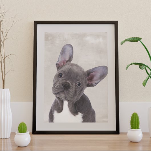 Poster Boston Terrier Perfect Poster