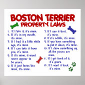 POSTER BOSTON TERRIER PL2 (Devant)