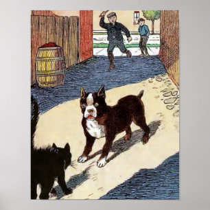 Poster Boston Terrier rencontre le chat