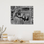 Poster Boston Terriers, années 20 (Cuisine)