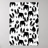 Poster Boston Terriers Paw (Devant)