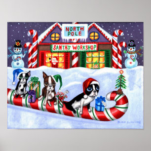 Poster Boston Terriers Sucre de canne Père Noël Christm