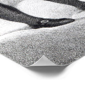 Poster Boswell et le fantôme de Samuel Johnson (Coin)