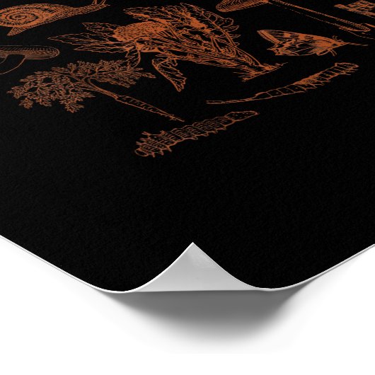 Poster Botanical Art, Frog Fungi Goblincore Aesthetic Cot (Coin)