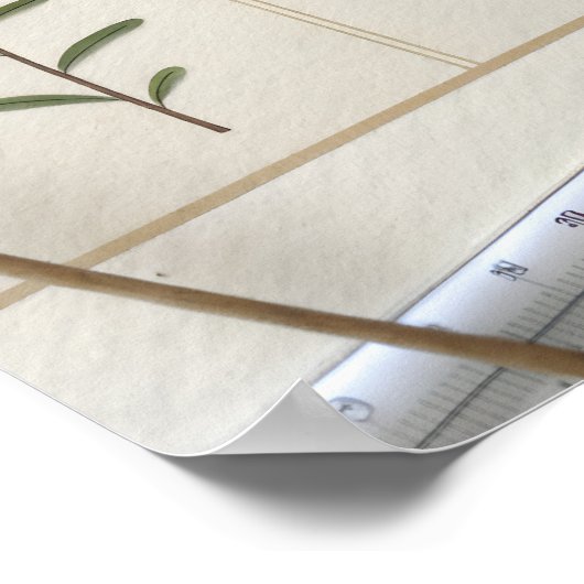 Poster Botanical Scientific Plate (Coin)