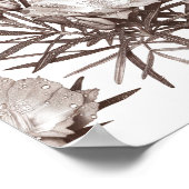 Poster Botanical Study - Desert Wildflowers (Coin)