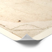 Poster Botanique Antique Poster Veronica Fleurs (Coin)