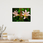 Poster Botanique Belladonna rose Lily Floral Imprimer (Cuisine)