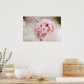 Poster Botanique Cherry Blossom (Cuisine)