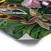 Poster botanique de Haekel vintage (Coin)