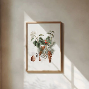 Poster Botanique de la forêt – Cône de pin et baie 