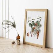 Poster Botanique de la forêt – Cône de pin et baie