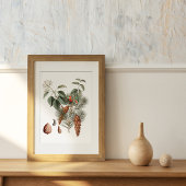 Poster Botanique de la forêt – Cône de pin et baie