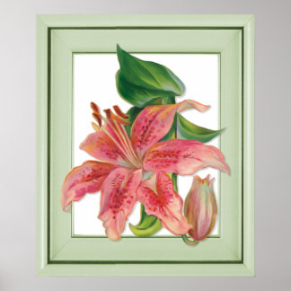 Poster Botanique de Stargazer Lily