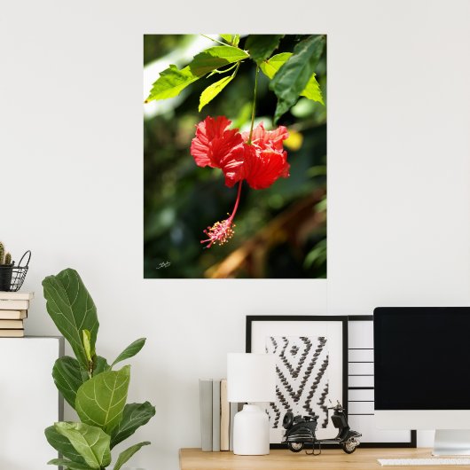 Poster Botanique d'Hawaï 9b (Bureau à domicile)