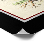 Poster botanique du vin rouge (Coin)