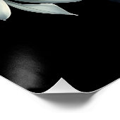 Poster Botanique foncée de la nuit jasmin (Coin)