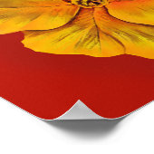 Poster botanique Primula rouge et jaune (Coin)