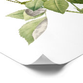 Poster Botanique Rosa indica Cruenta Redoute (Coin)