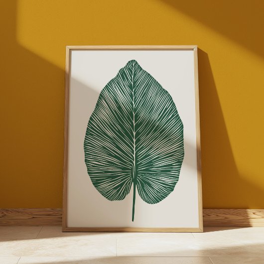 Poster Botanique verte Banane Feuille Plante Amateurs Boh