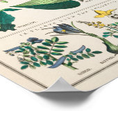 Poster Botanique vintage (Coin)