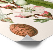 Poster Botanique vintage (Coin)