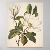 Poster Botanique vintage (Devant)