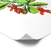 Poster botanique vintage - Barberry (Coin)