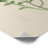 Poster botanique vintage - Fleur aquarelle (Coin)