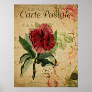 Poster botanique vintage - Rhododenron