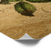 Poster botanique vintage - Rudbeckia (Coin)