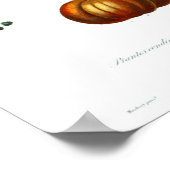 Poster botanique vintage - Squash (Coin)