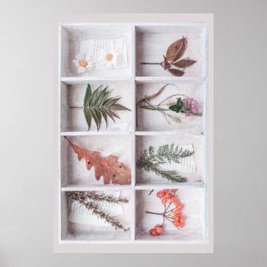 Poster Botanique White Shadow Box, Fleurs Feuilles Ferns (Devant)