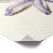  Poster Botanische illustratie (Hoek)